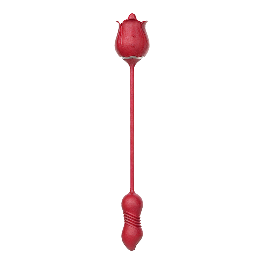 Rose-shaped dual vibrator with a flexible cord on a transparent background